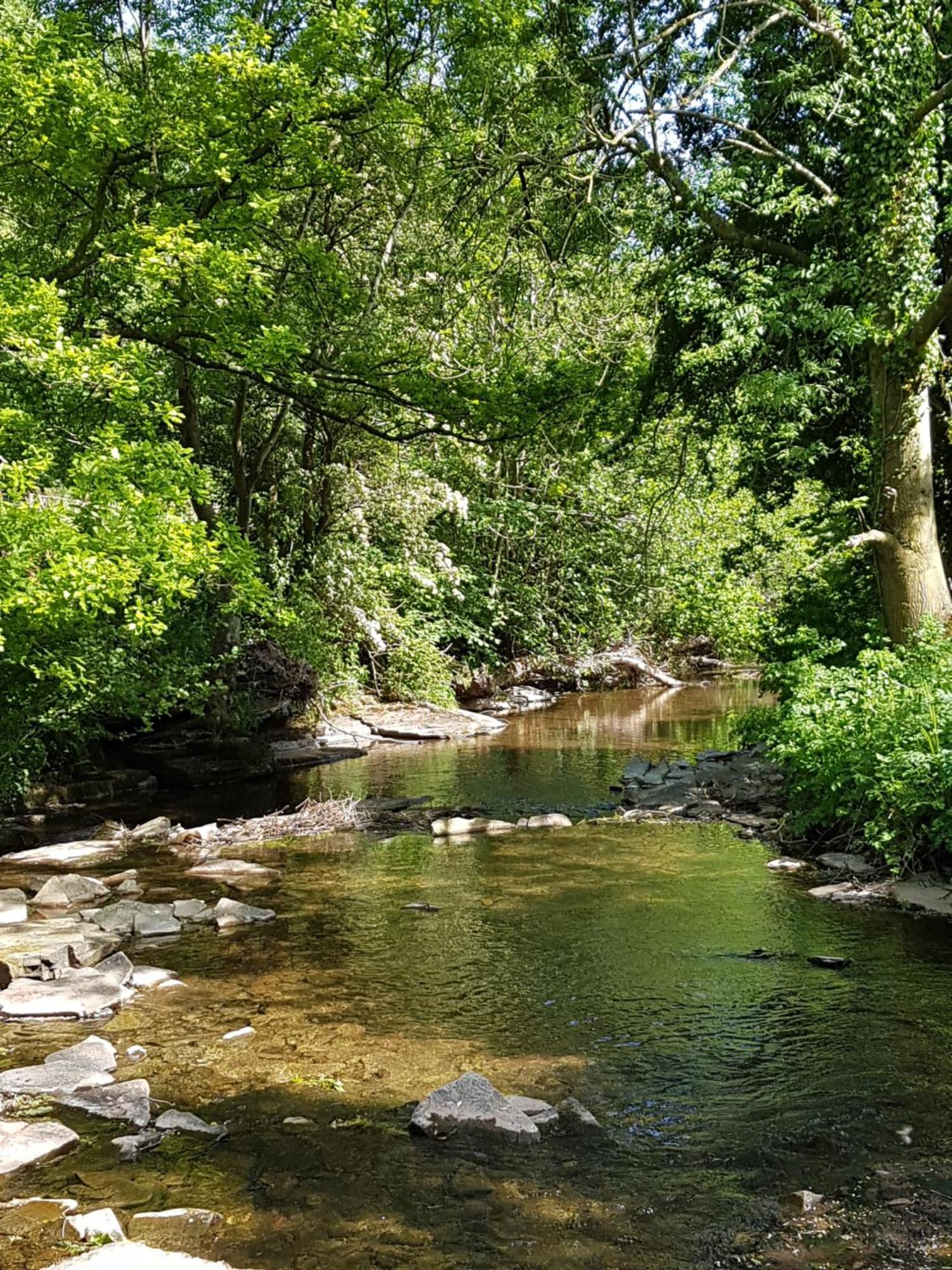 River Cottage@Cwm Mill - Riverside Family Holidays In The Black Mountains هيريفورد المظهر الخارجي الصورة